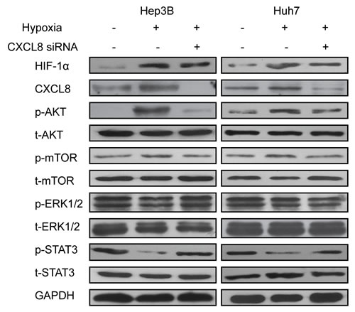 fig4