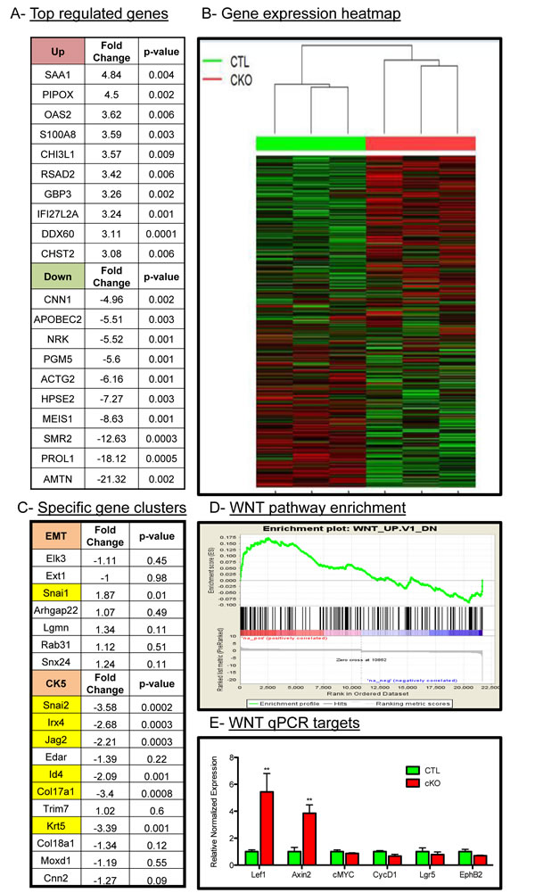 fig3