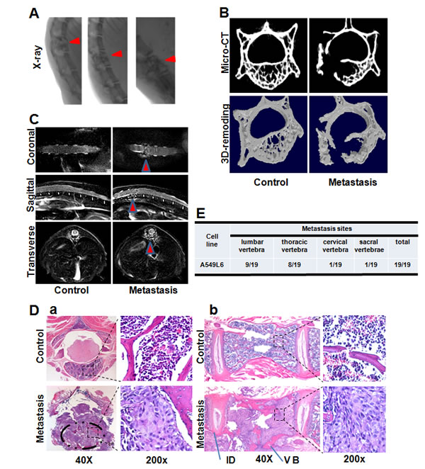 fig2