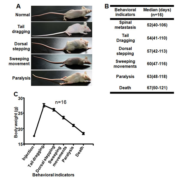 fig3