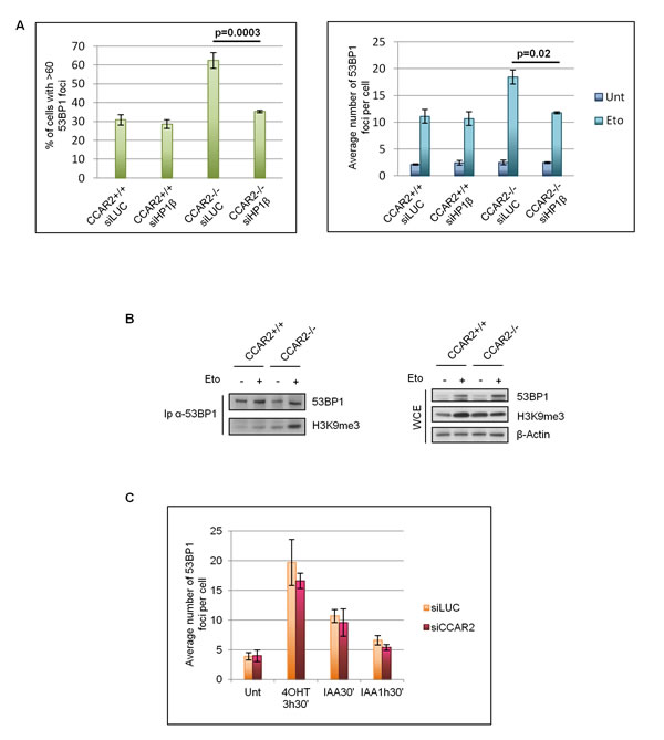 fig3