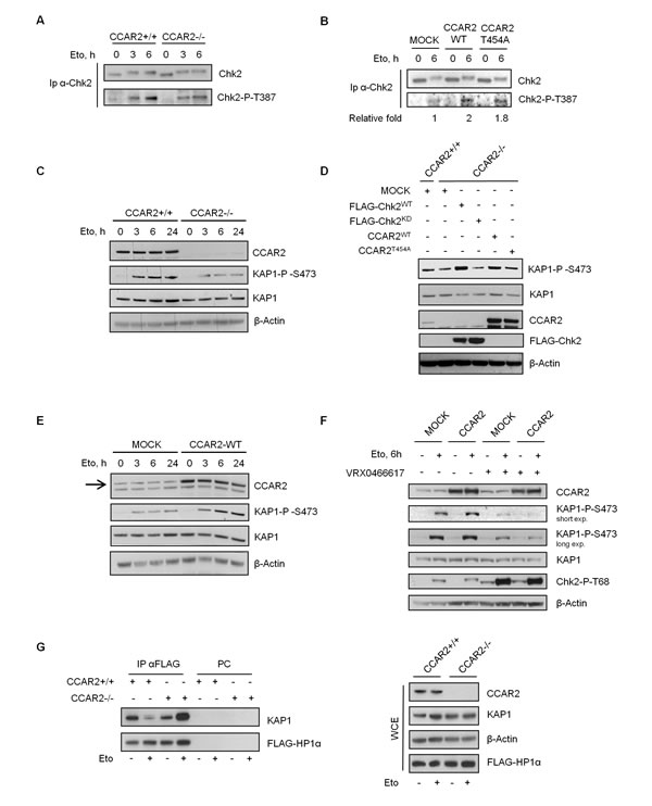 fig4