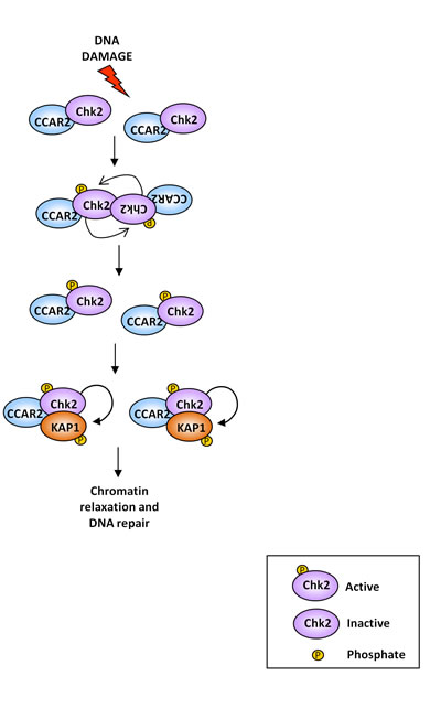 fig6