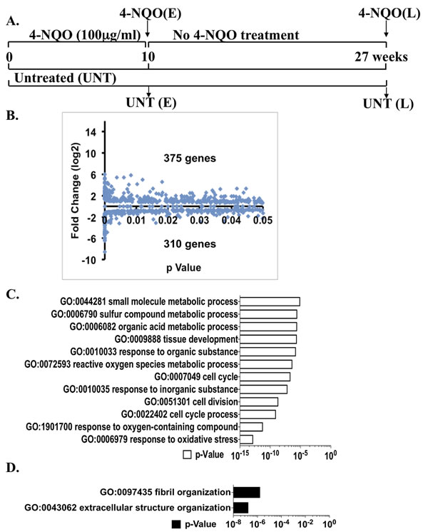 fig1