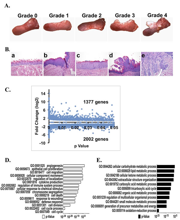 fig3