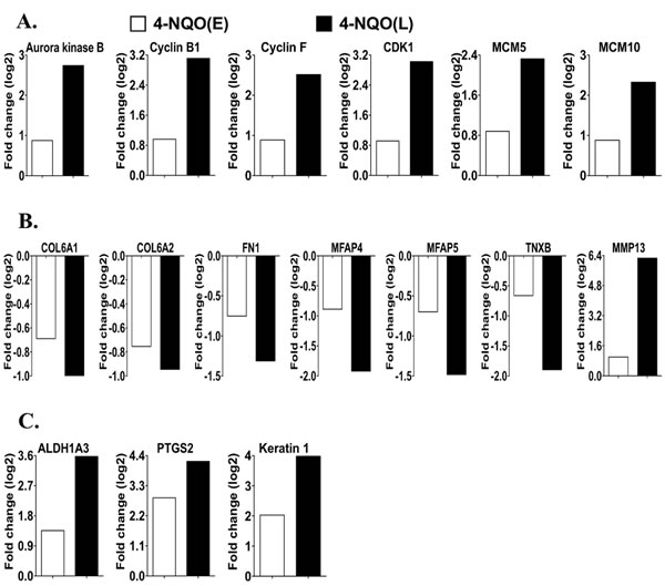 fig5