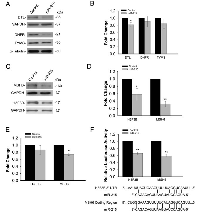 fig3