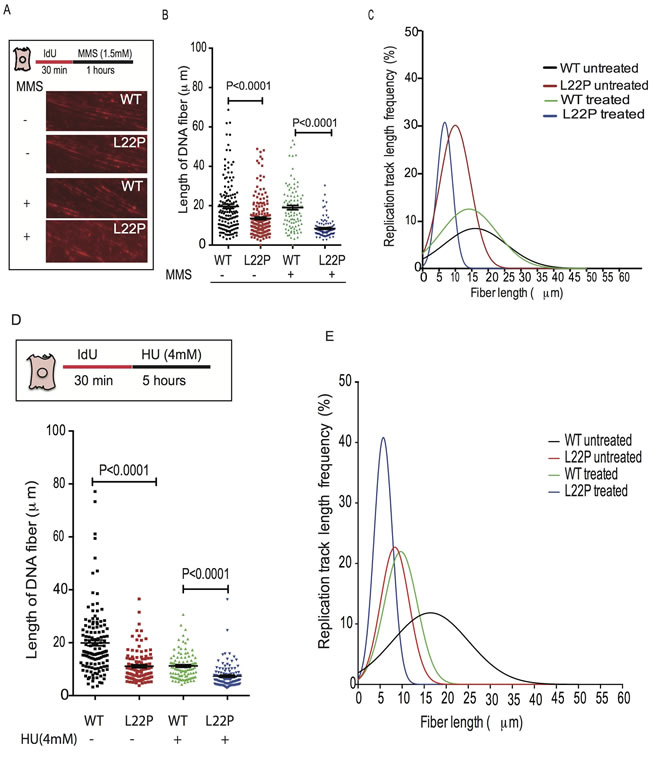 fig3