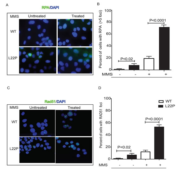fig4