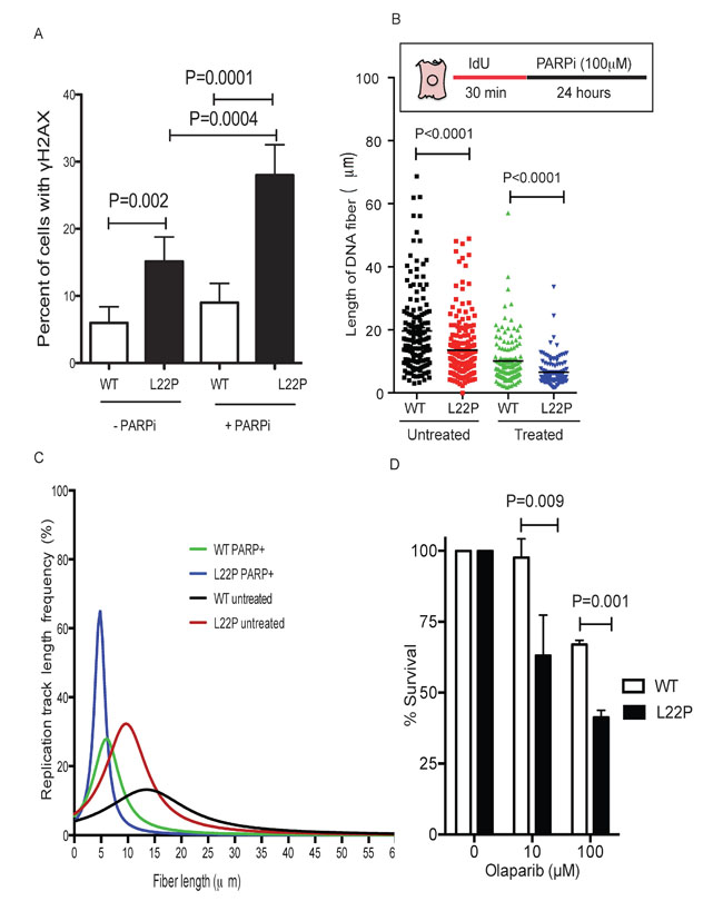 fig6
