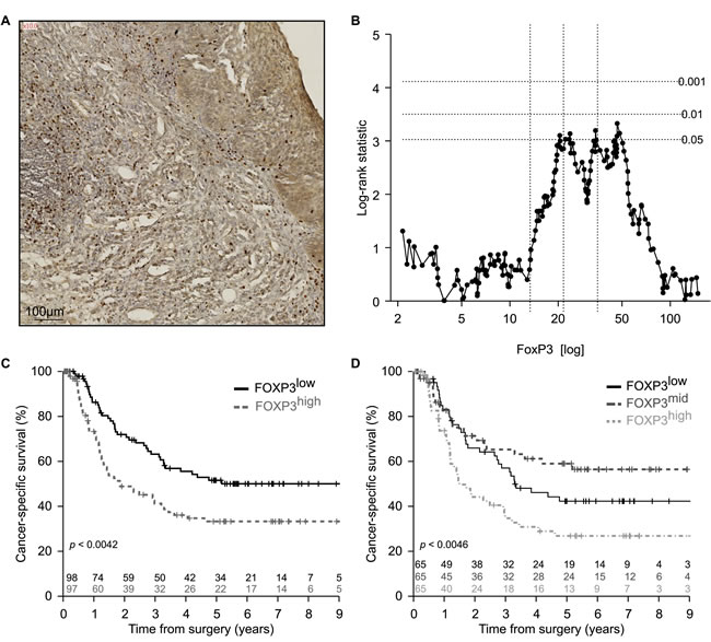 fig3