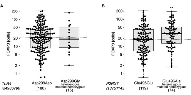 fig6