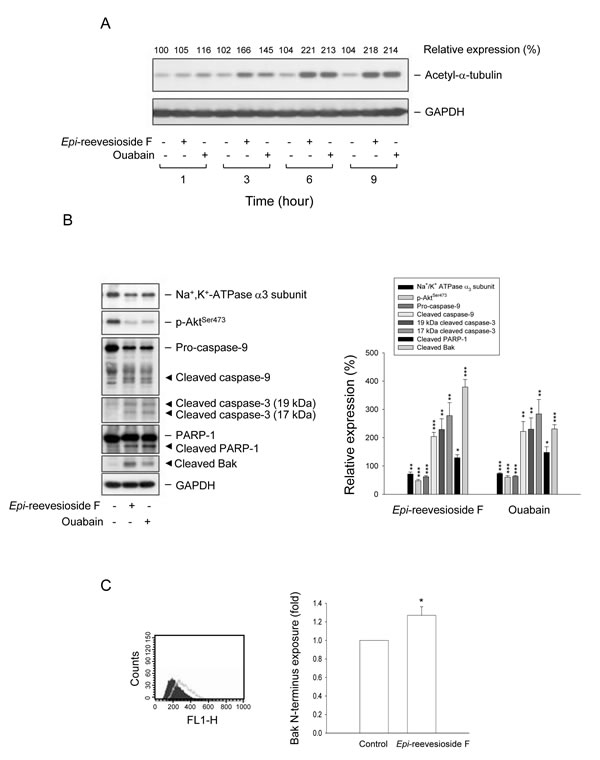 fig7