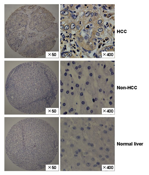 fig2