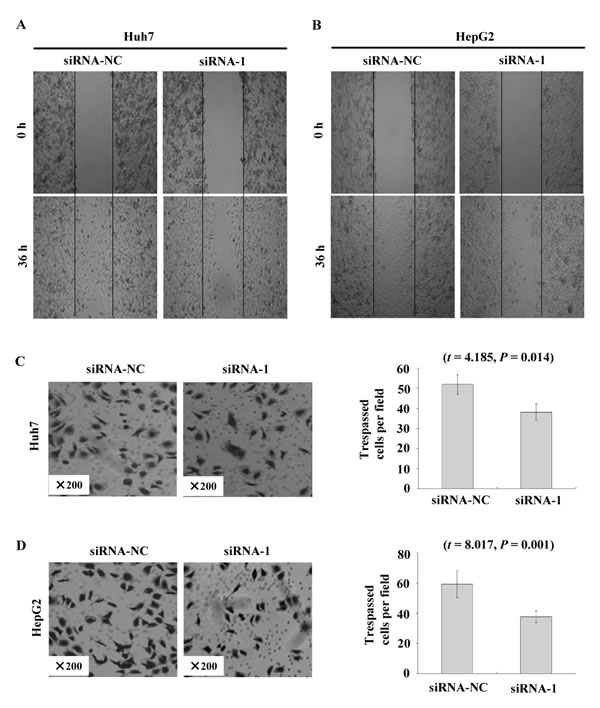 fig6