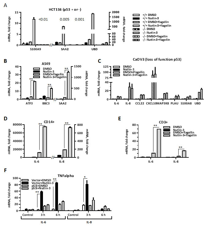 fig2