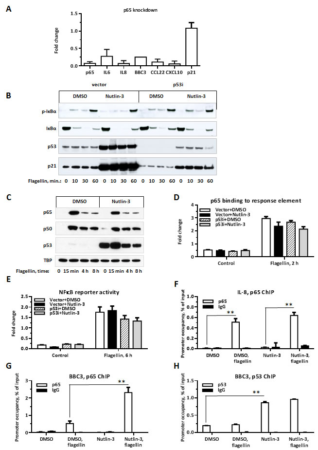 fig3