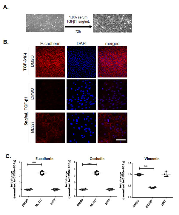 fig2