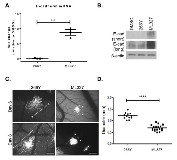 fig3