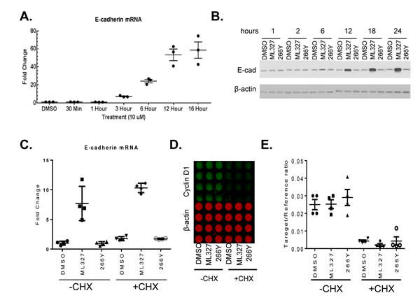 fig4