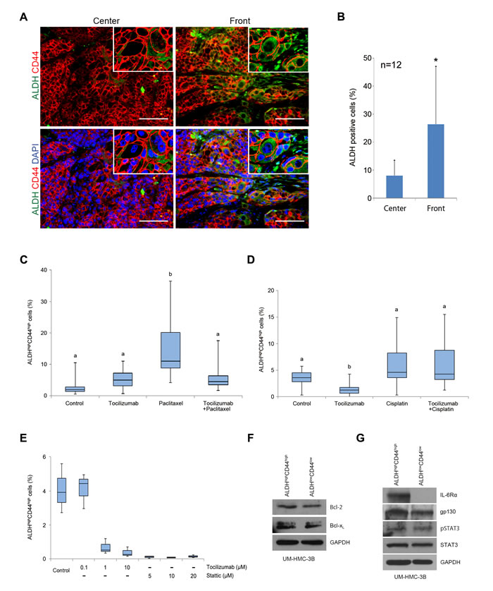 fig6