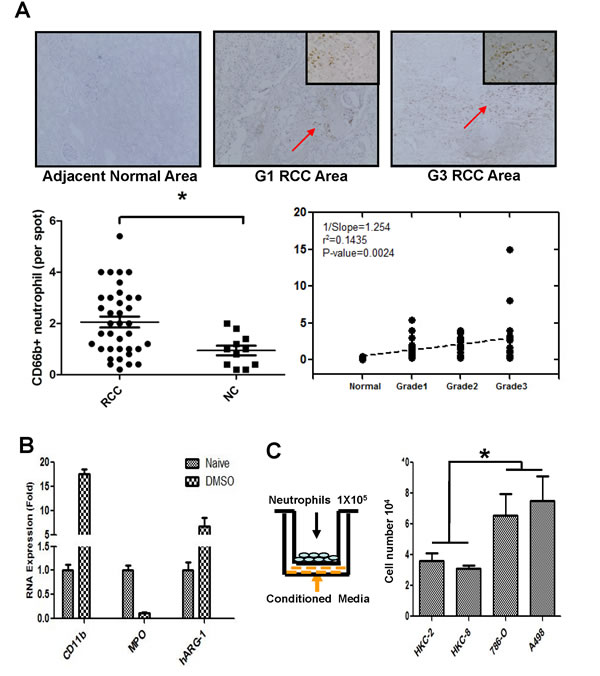 fig1
