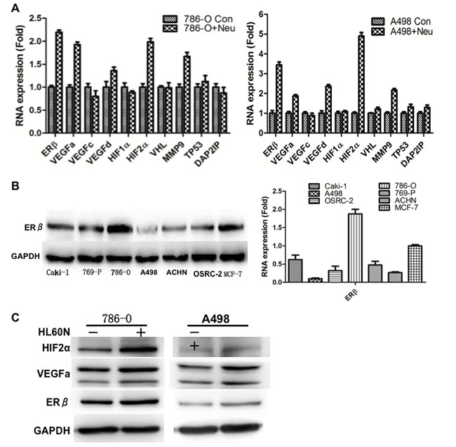 fig3