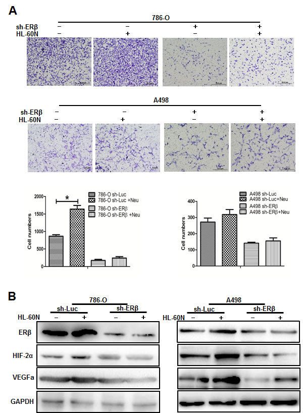 fig4