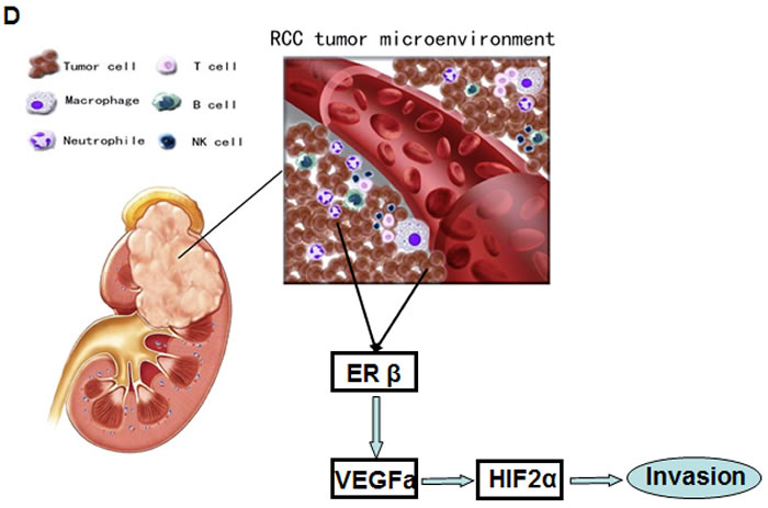 fig6b