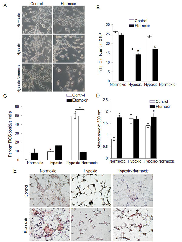 fig6