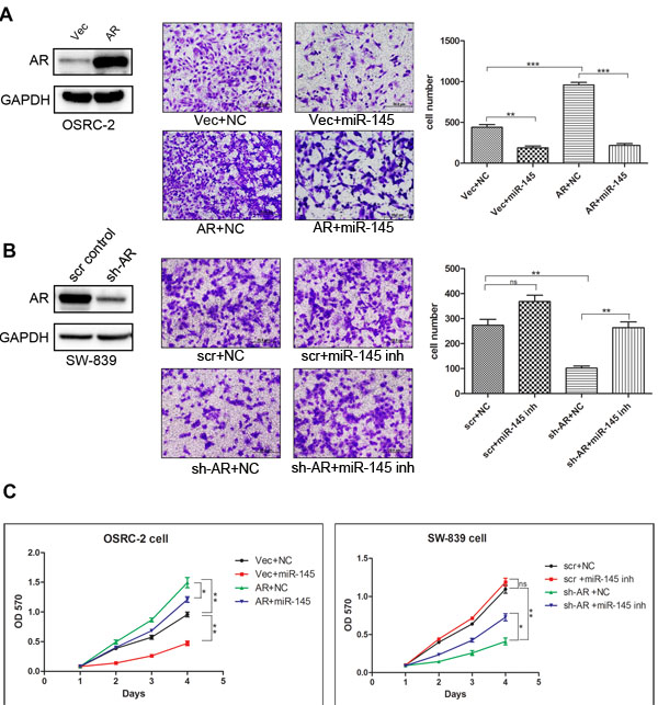 fig3