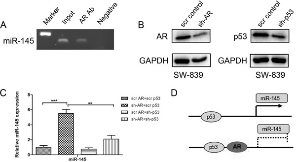 fig4