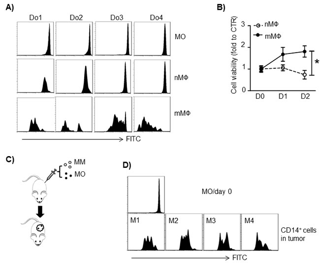 fig5