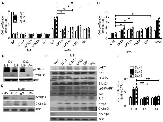 fig6