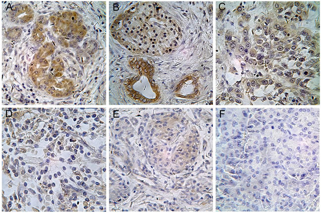 fig6