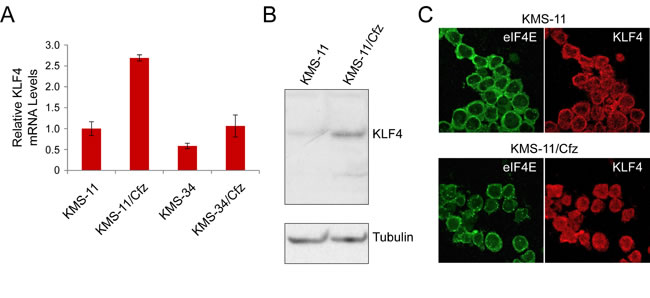fig2