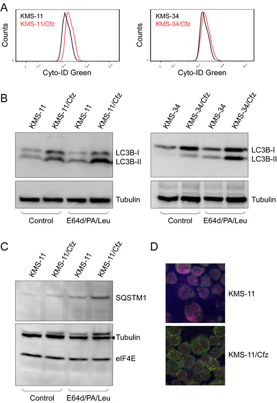 fig4