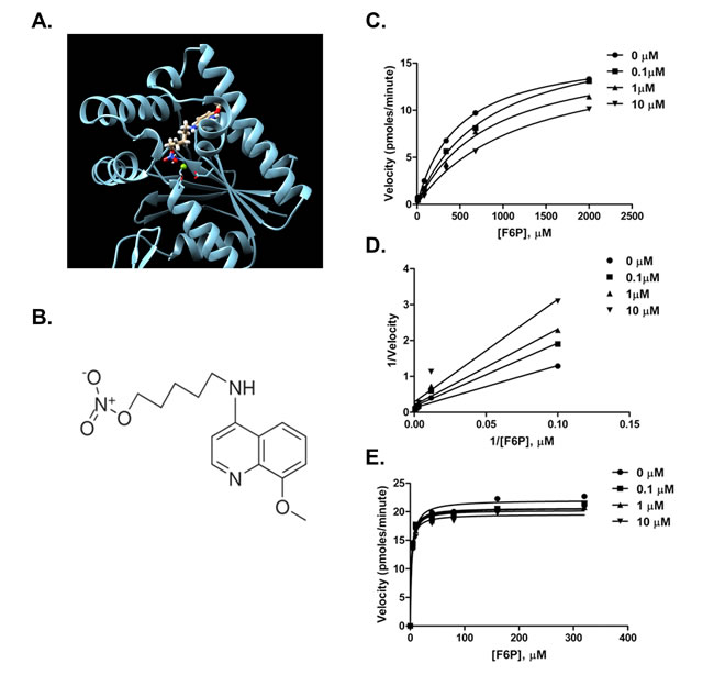 fig1