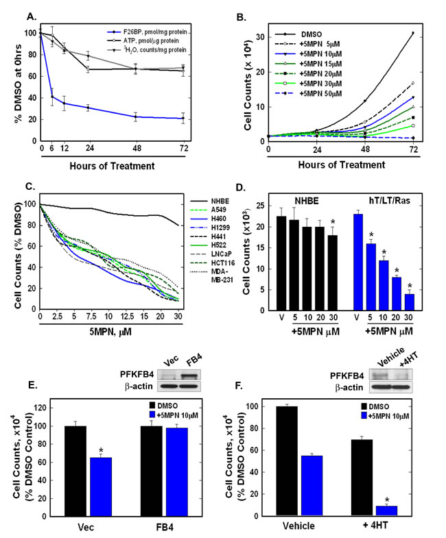 fig2