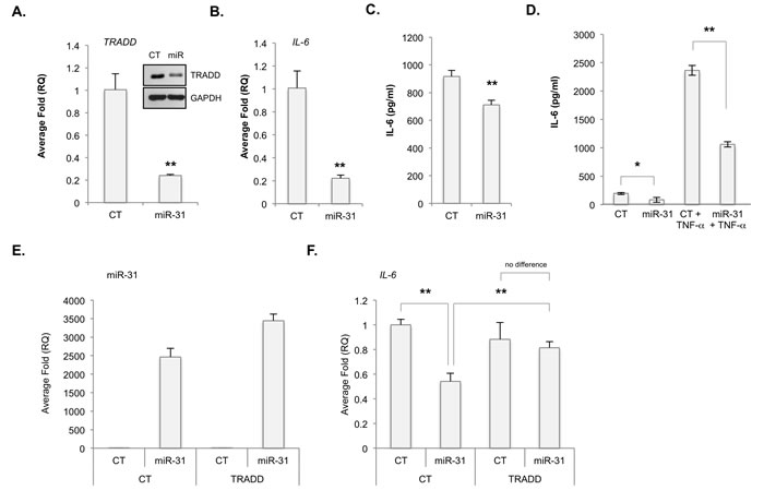 fig3
