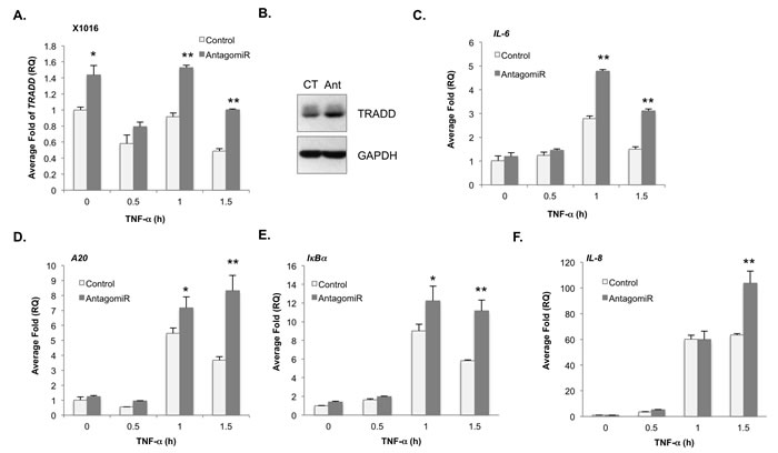 fig4