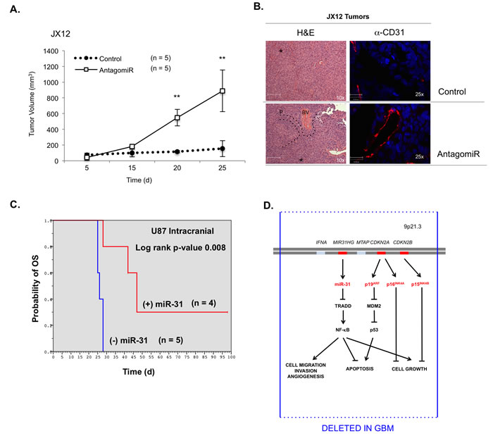 fig6