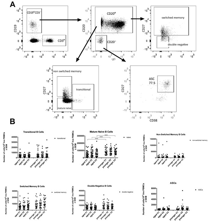 fig2
