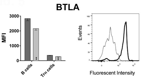 fig5a