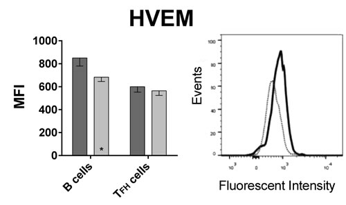 fig5b