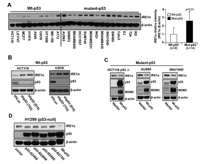 fig2