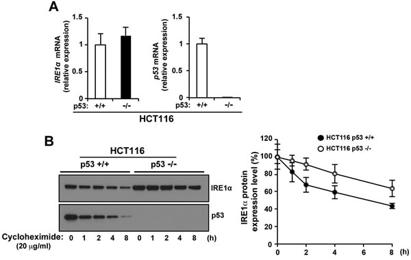 fig3