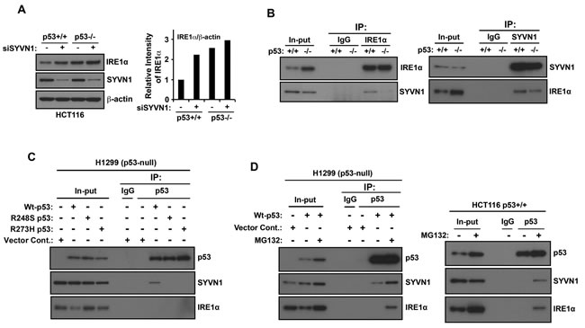 fig4