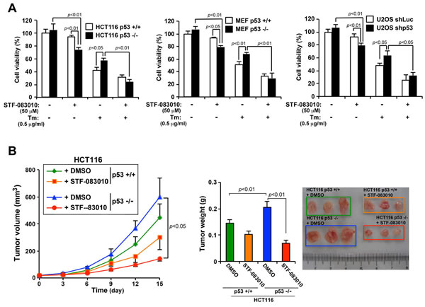 fig6