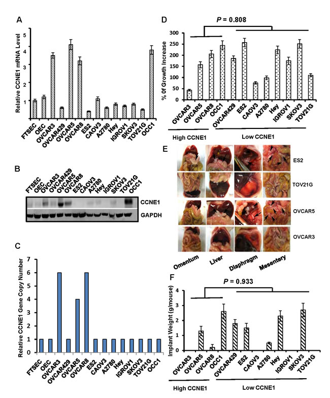 fig1